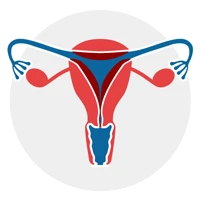 Seguros profesionales