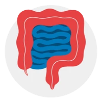 Seguros de mobilidad